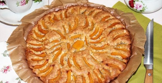 Шарлотка с абрикосами и маком