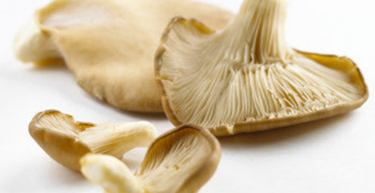 Отбивные из вешенок