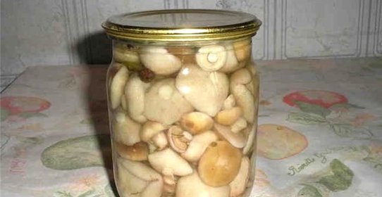 Маринованные шляпки подберезовиков