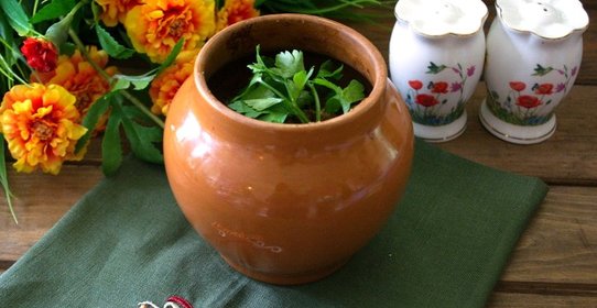 Диетическое мясо