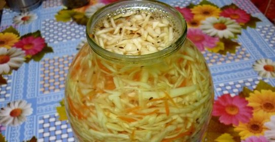 Засолка капусты на зиму