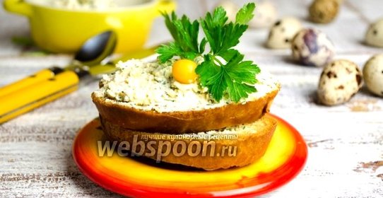 Тосты с желтково-творожной намазкой