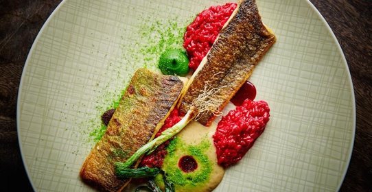 Севанская форель со свекольным ризотто