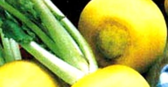 Пареная репа