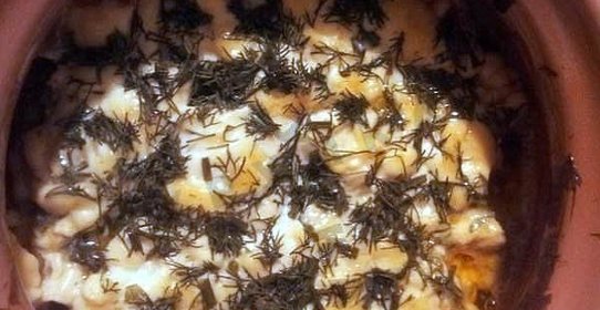 Мясо в горшочках с грибами и сыром