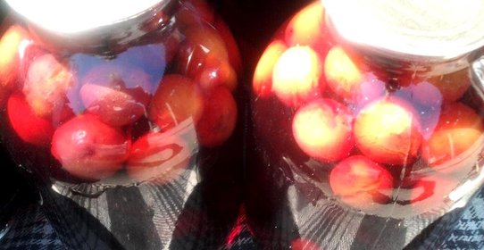 Компот из алычи
