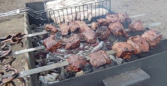 Шашлык из оленины