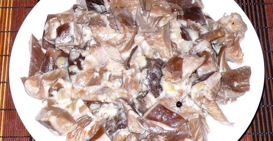 Подберезовики со сметаной