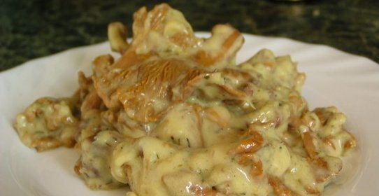 Гуляш из лисичек