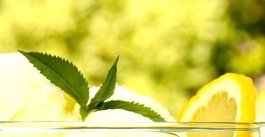 Лимонное сливочное мороженое