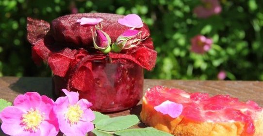 Варенье из лепестков шиповника
