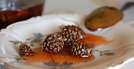 Варенье из сосновых шишек