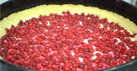 Творожный пирог со смородиной