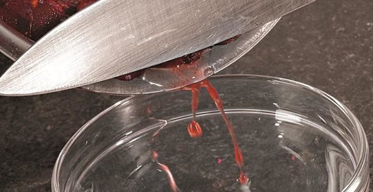 Жареные равиоли со сливами