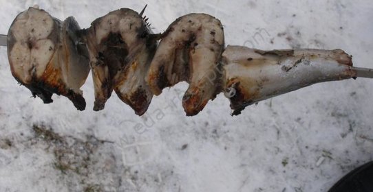 Шашлык из скумбрии