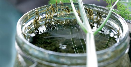 Конфеты с клюквой