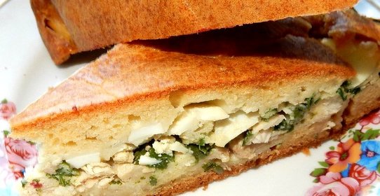 Заливной пирог с куриным мясом и зеленым луком