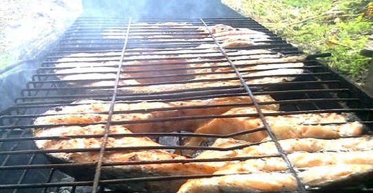 Шашлык из рыбы на костре