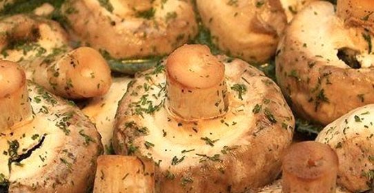 Шашлычки из шампиньонов