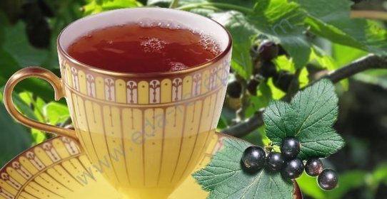 Чай из листьев смородины