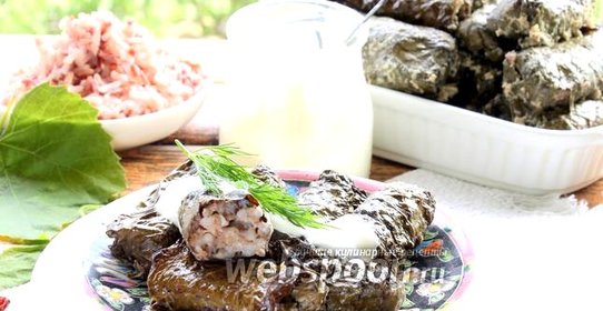 Долма с красным рисом и барбарисом