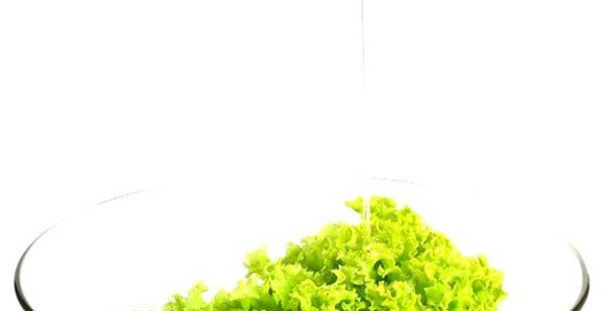 Зеленый салат с горчичной заправкой