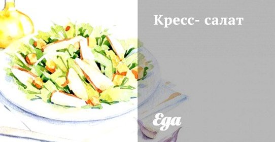 Кресс-салат