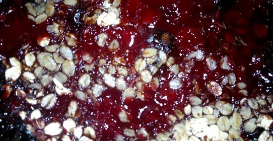 Печеные сливы с лесными ягодами, виски и овсянкой