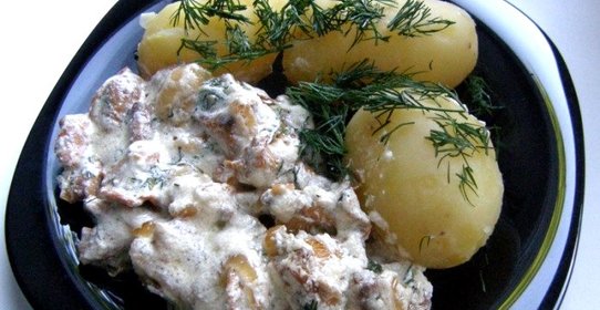 Лисички в сливочном соусе