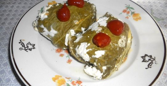 Голубцы в листьях ревеня