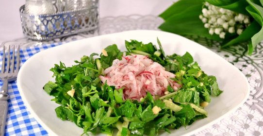 Салат из редиса с зеленью и свежим огурцом