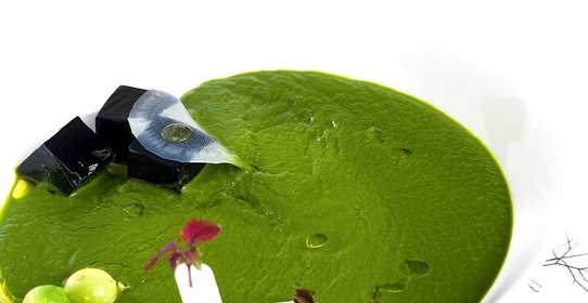 Суп из щавеля с желе из краснокочанной капусты