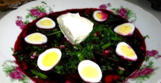 Свекольник с ботвой