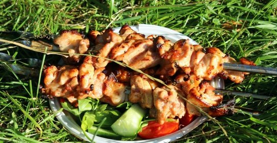 Куриный шашлык (маринад из томатов и пряной зелени)