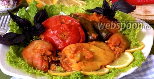 Долма иракская