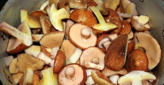 Запеченные маслята