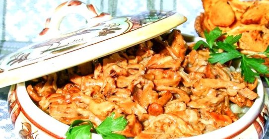 Лисички, жареные в сметане
