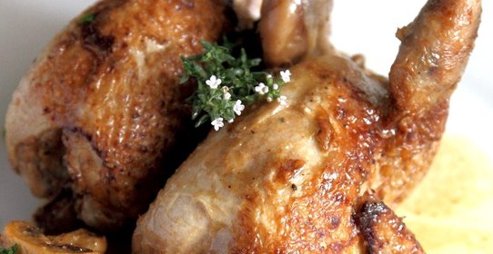 Перепелки (перепела), тушеные с тимьяном