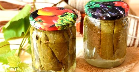 Маринованные виноградные листья