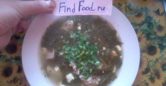 Зеленый борщ из консервированого щавля