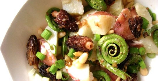 Салат Цветок папоротника