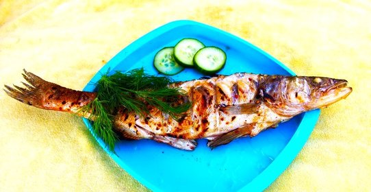 Судак на углях