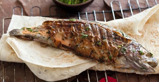 Речная форель в гремолате