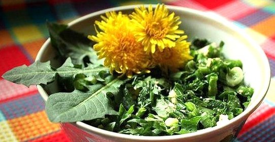 Салат из одуванчиков и крапивы