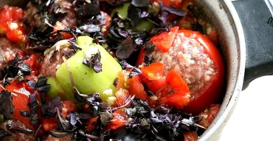 Толма летняя