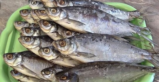 Сухая засолка рыбы на зиму