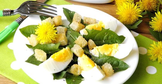 Салат из одуванчика