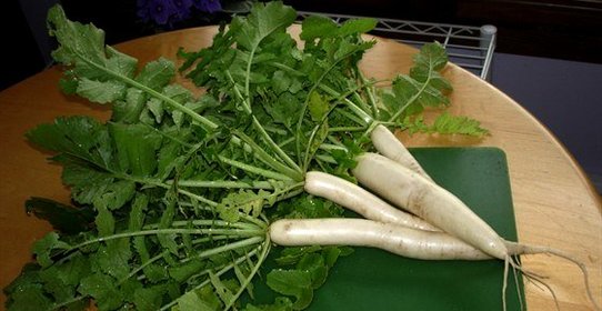 Салат из дайкона с кунжутными семечками