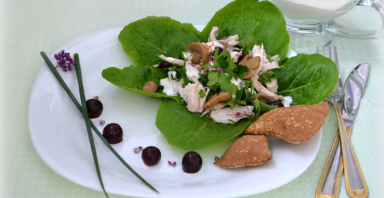 Салат с вишней и йогуртовым соусом