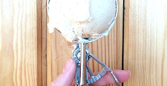 Соевое ванильное мороженое